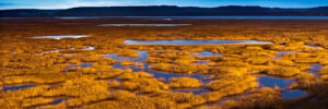 VISITE GUIDEE DE L ESTUAIRE